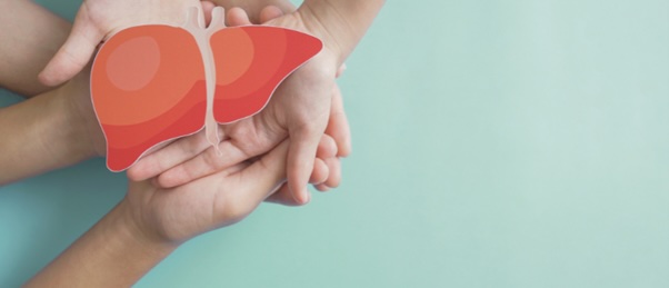 3D bioprinted liver models